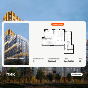3-комнатная квартира 80.9 м2, 18-й этаж